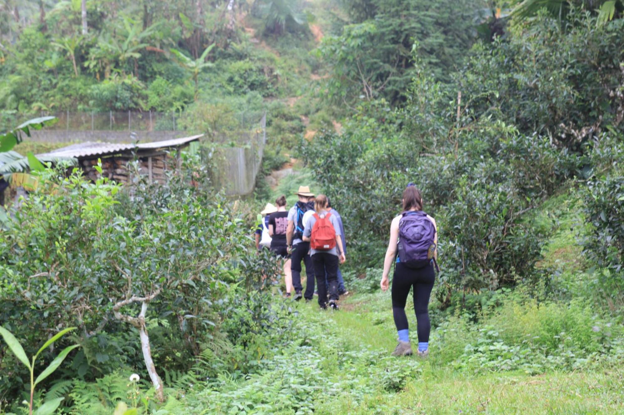 דירות הא גיאנג Thavill Retreat Hagiang מראה חיצוני תמונה