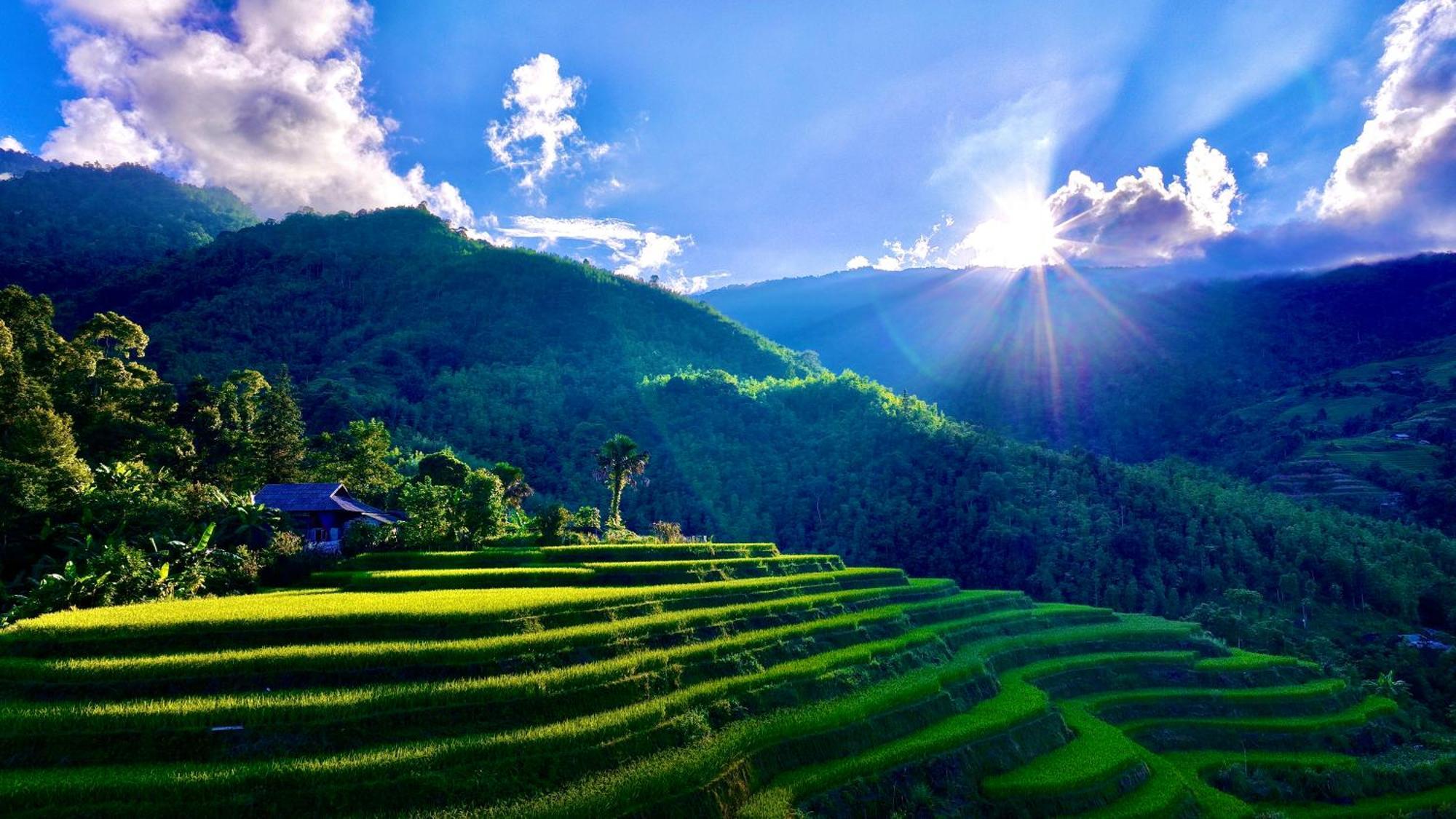 דירות הא גיאנג Thavill Retreat Hagiang מראה חיצוני תמונה