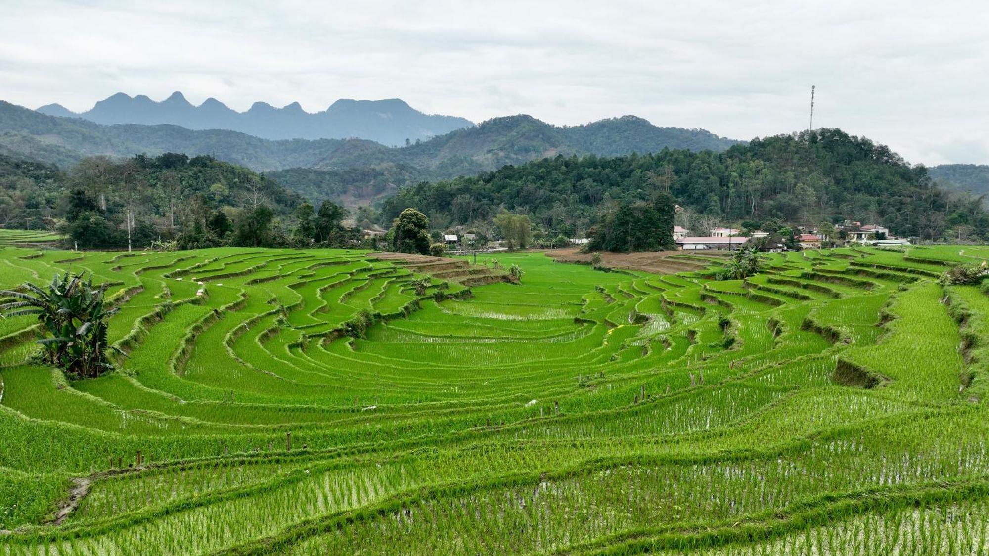 דירות הא גיאנג Thavill Retreat Hagiang מראה חיצוני תמונה