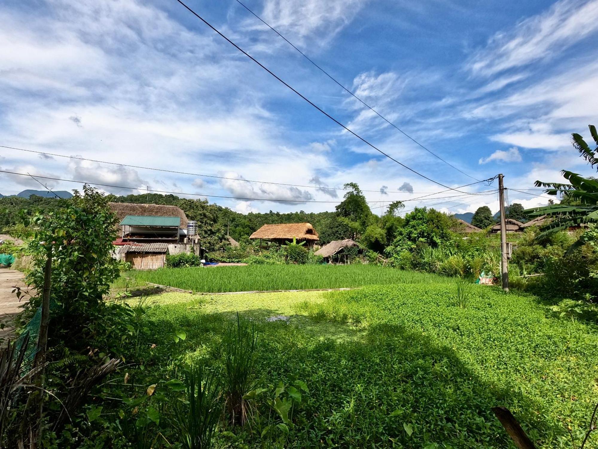 דירות הא גיאנג Thavill Retreat Hagiang מראה חיצוני תמונה
