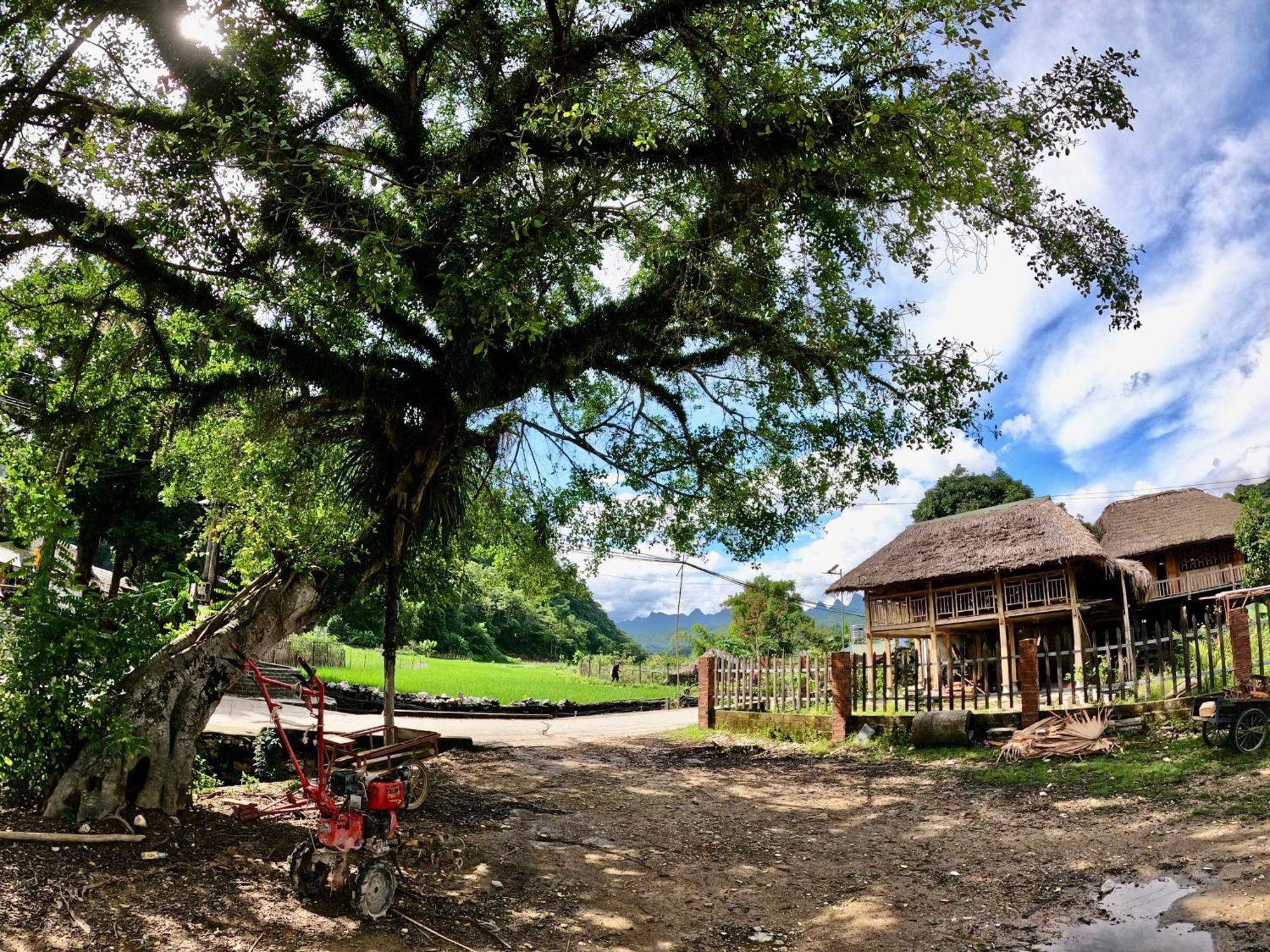 דירות הא גיאנג Thavill Retreat Hagiang מראה חיצוני תמונה